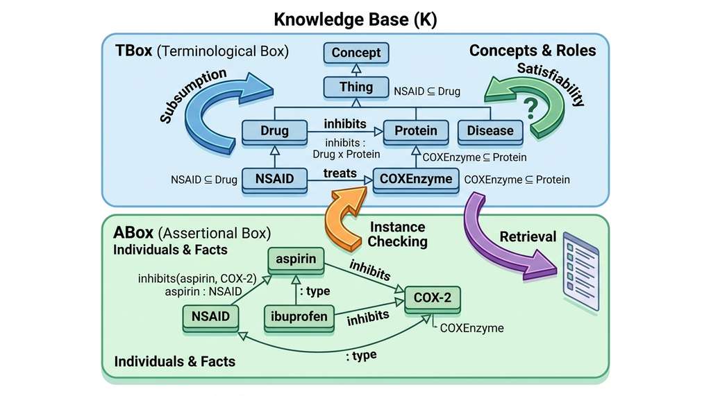 Description Logic TBox and ABox architecture