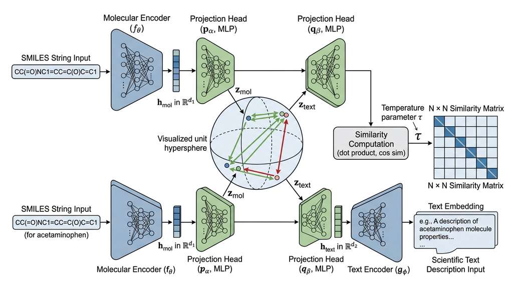 Dual-encoder modality alignment architecture