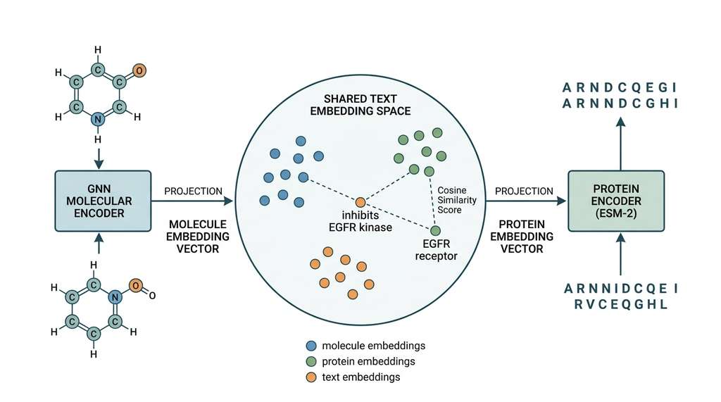 Cross-modal molecule-protein matching via shared text embedding space