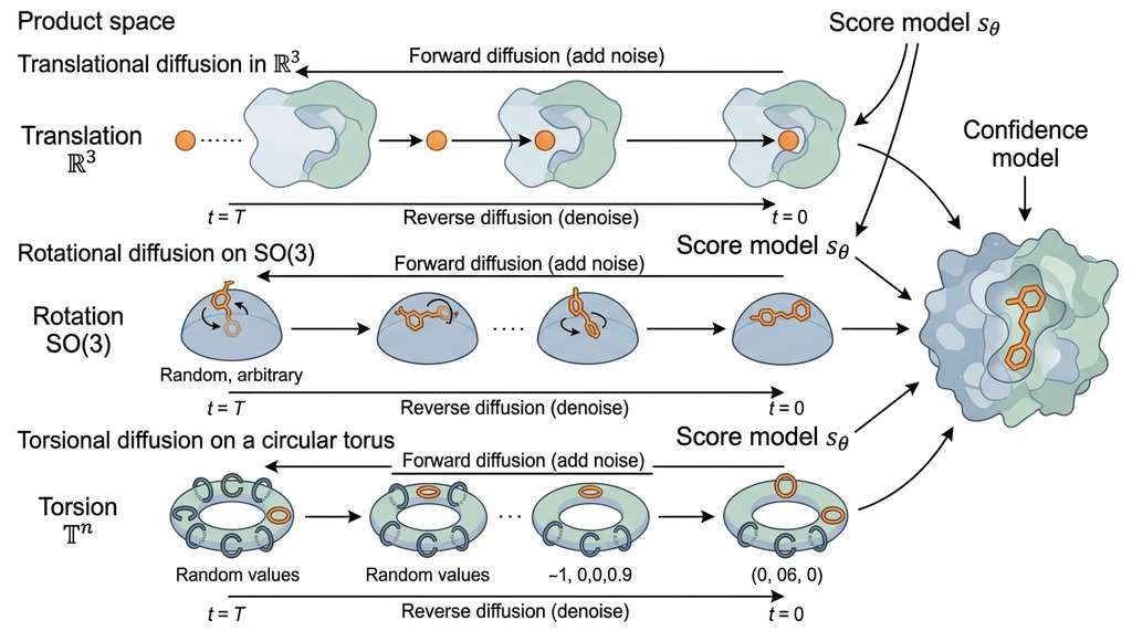 DiffDock diffusion-based docking on the product space of translation, rotation, and torsion angles